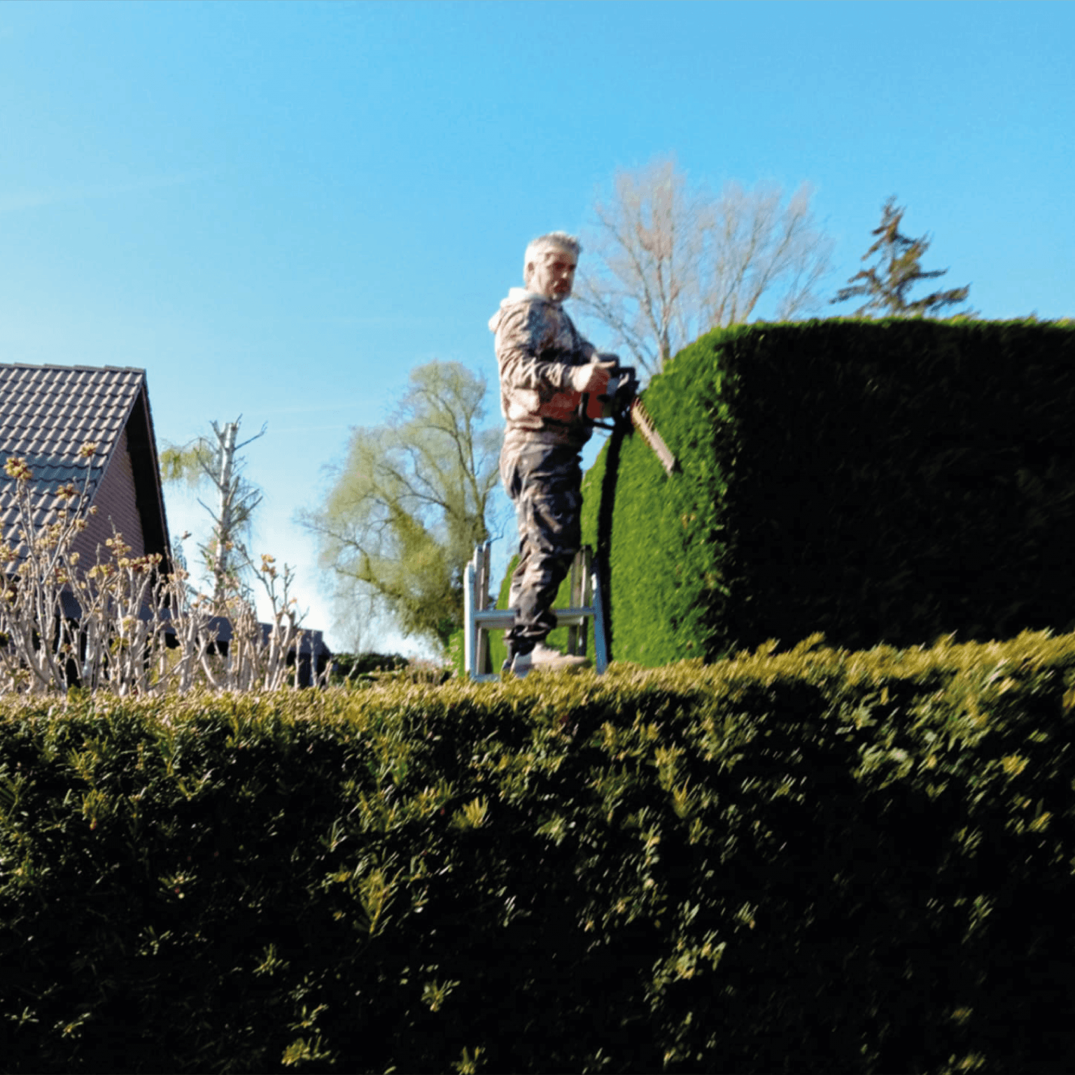 Maxence Barbieux - Jardinier